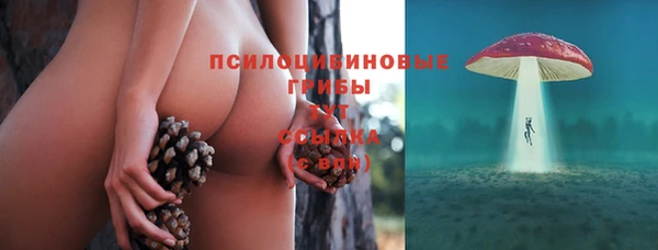 амф Алзамай
