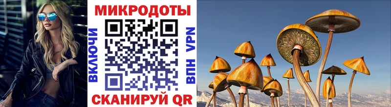 Псилоцибиновые грибы GOLDEN TEACHER  ОМГ ОМГ рабочий сайт  Спасск 